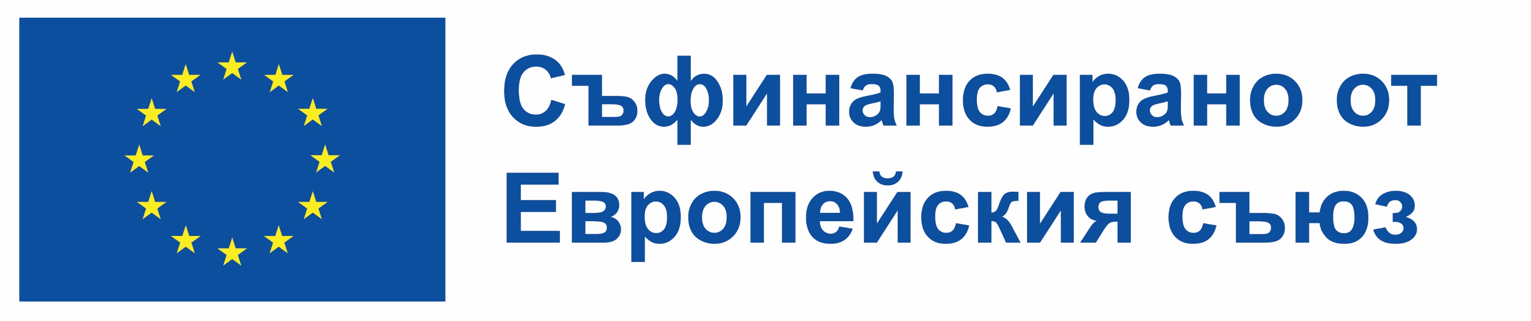 European Union logo
